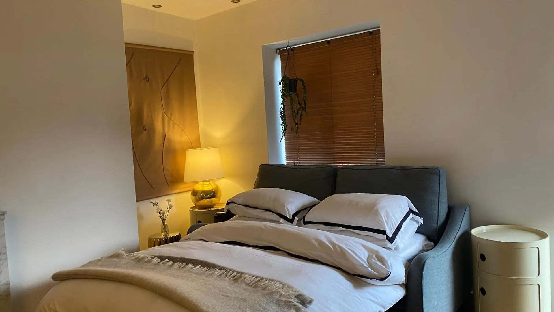 Cowper Ground Floor Apartment Δουβλίνο